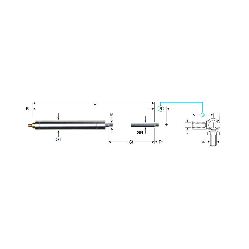 Molla Gas Inox Valvola 818200455 650N X08NAY0650